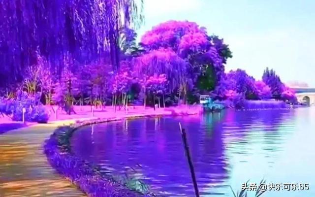 救援蒙克